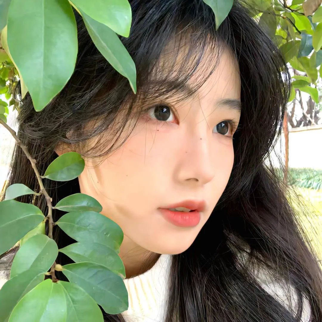 完美计划