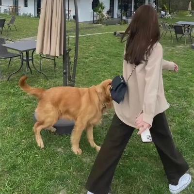 陀螺女孩